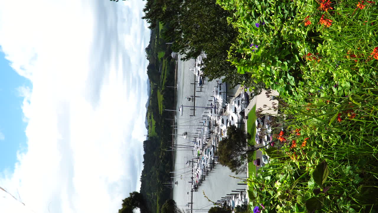 yates de lujo privados en el puerto del municipio de picton, vista vertical