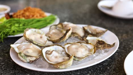 fresh oysters on ice