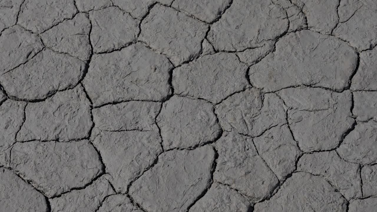 Cracked Earth Texture