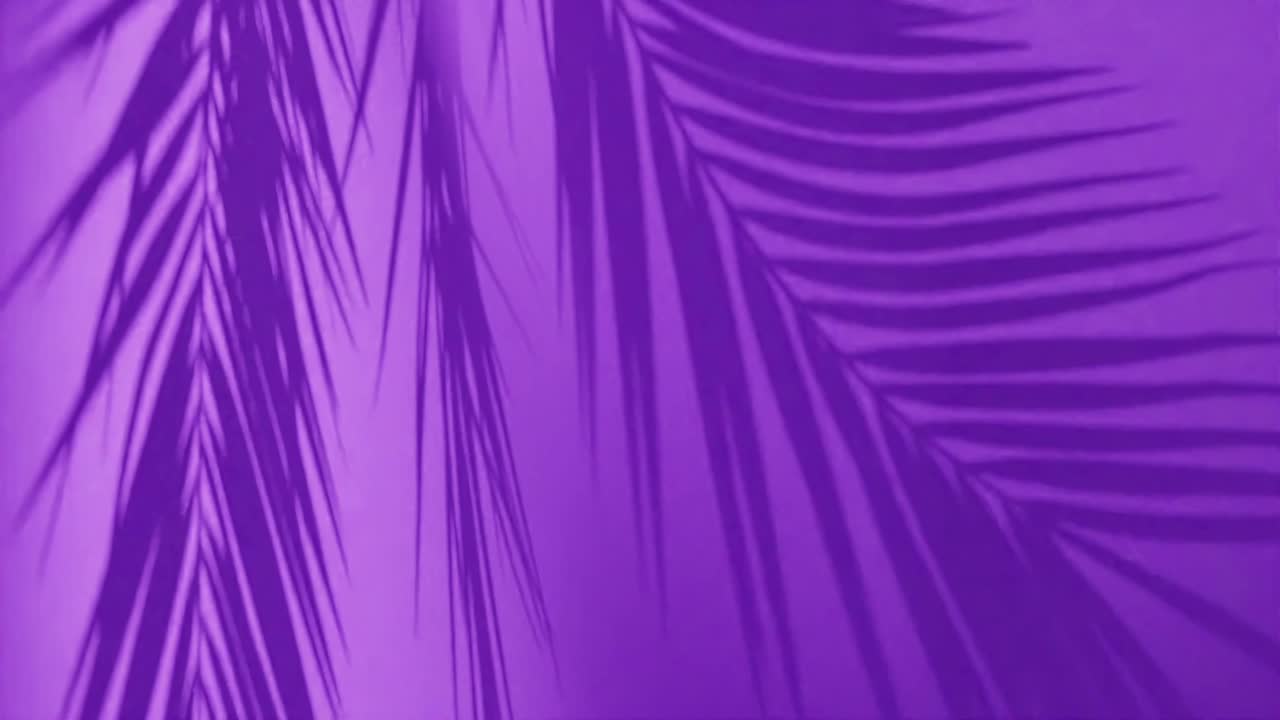 hojas de palma tropical contra un fondo púrpura. vertical