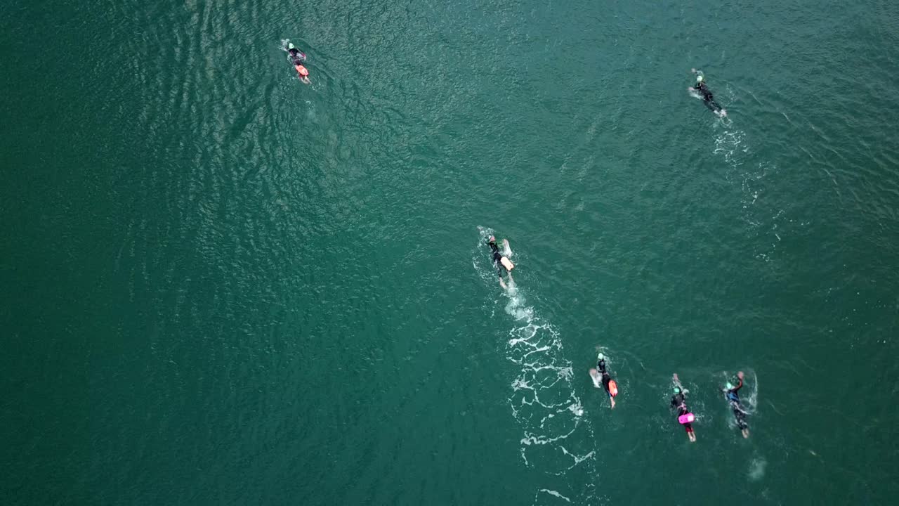 열린 물에서 마라톤 훈련을 하는 수영 선수 그룹