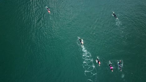 Grupo-De-Nadadores-Entrenando-Para-Maratón-En-Aguas-Abiertas