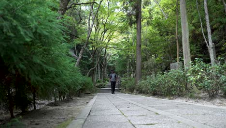 male solo traveller backpack walking through forest path alone looking around