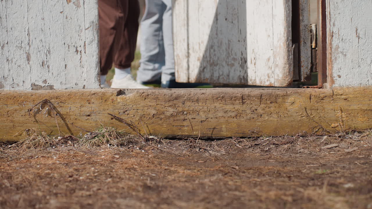 zapatillas cruzando el campo, calzado pisando un campo deportivo al aire libre, zapatillas deportivas entrando en un área de juego al aire libre, primer plano de unas zapatillas al entrar en un campo deportivo para una actividad en equipo