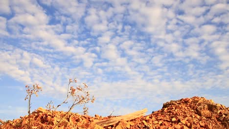 Altocumulus-clouds-on-a-warm-humid-morning-which-signals-a-thunderstorms-late-in-the-afternoon