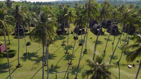 a drone shot of a stunning and tropical resort with palm trees and charming bungalows, on a clear blue day on the island of koh kood in thailand