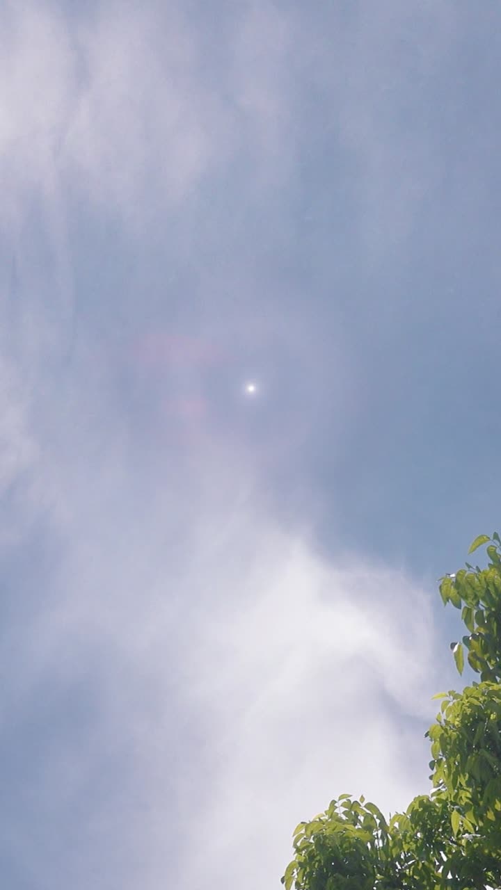 Sun shining through the clouds with a tree in view