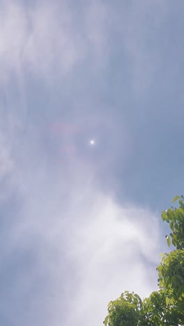 sun shining through the clouds with a tree in view