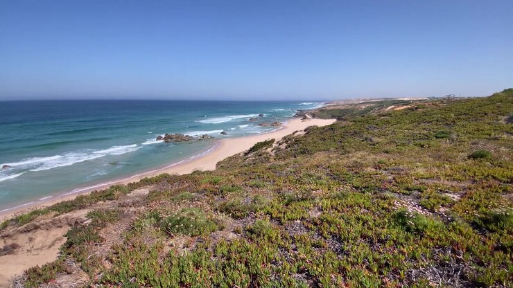 Costa dell'Alentejo, Portogallo, con una spiaggia sabbiosa, acqua oceanica limpida e turchese, onde che si infrangono e vegetazione costiera sotto un cielo azzurro.