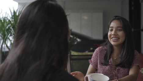 Dos-Chicas-Participando-En-Una-Conversación-Alegre-Durante-Un-Picnic-En-El-Verano