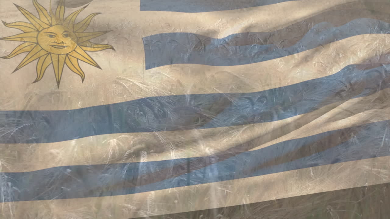 animación de la bandera de uruguay ondeando sobre el campo de trigo