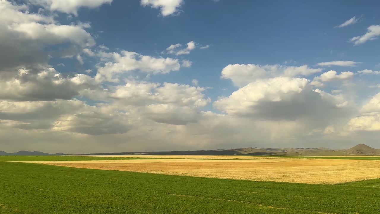 panoramiske kornmarker landbrug farming landskab horisont klar himmel hvide skyer grøn gul høstsæson hvede landligt landskab økologisk græsmark snoet vej dal landsby natur dyrkning