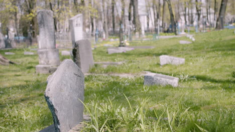 graveyard with tombstones in an urban area on a sunny day 8