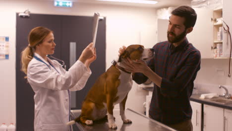 a vet explaining a radio to a man