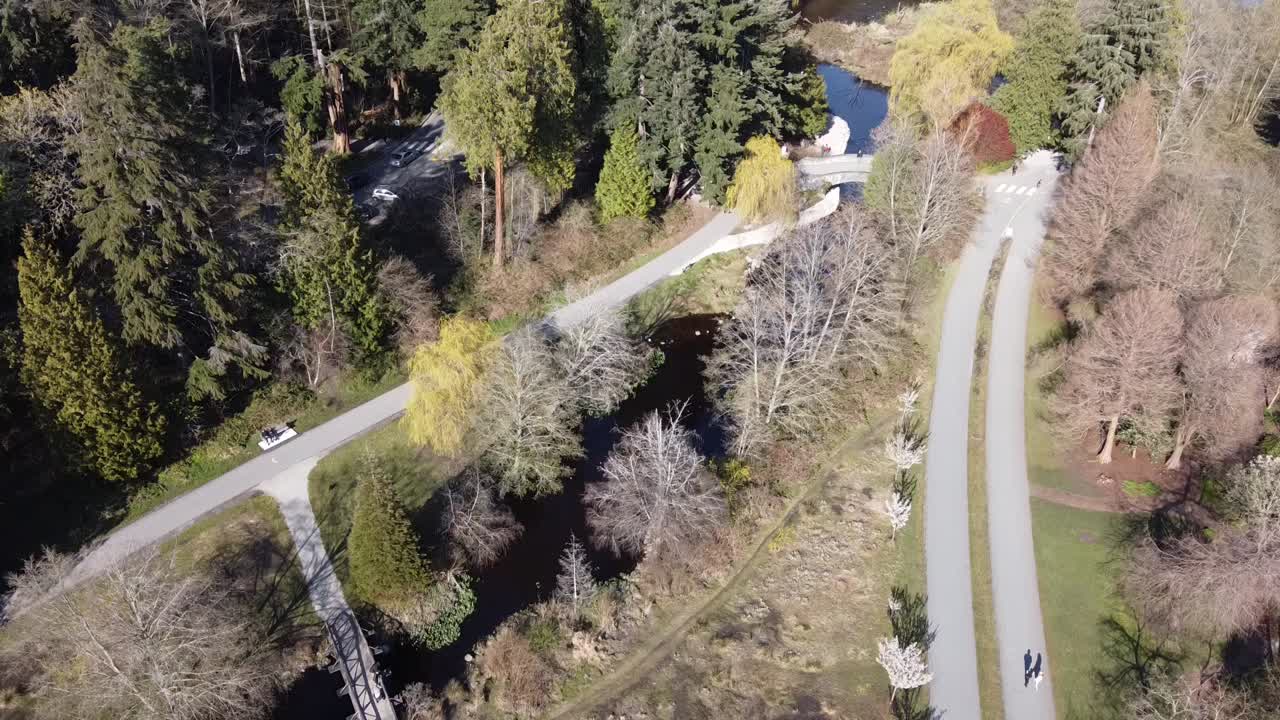 paneo aéreo hacia abajo dolly rool zoom volar sobre senderos tranquilos con personas cruzando con bicicletas y grupos caminando sobre puentes perdido laguna corriente en stanley park vancouver bc canadá