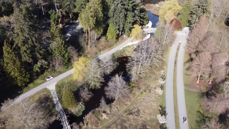 paneo aéreo hacia abajo dolly rool zoom volar sobre senderos tranquilos con personas cruzando con bicicletas y grupos caminando sobre puentes perdido laguna corriente en stanley park vancouver bc canadá