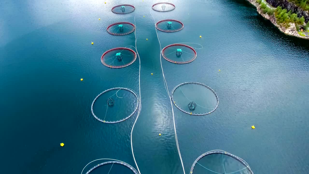 노르웨이에서 연어  ⁇ 시를 하는 공중 촬영