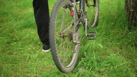 back view of bicycle parked in grassy field, someone in black trousers approaches, the person lifts the bike s rear and pedals, causing the tires to rotate, then stops at once