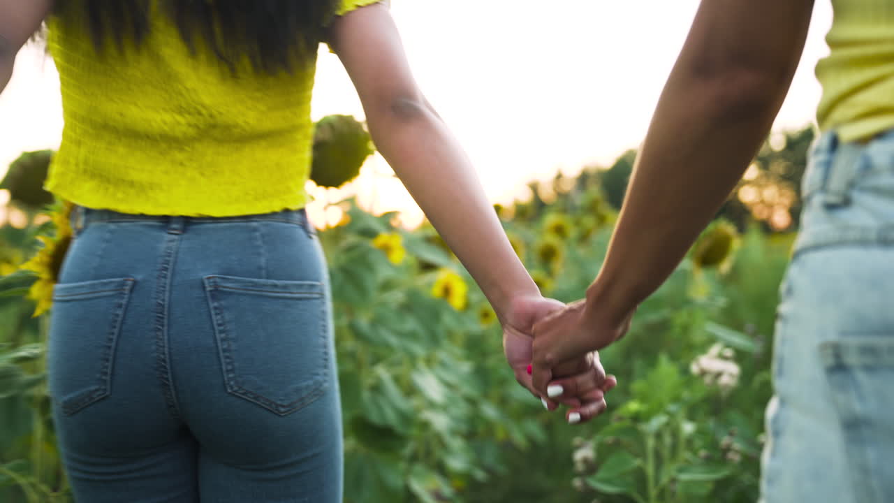 mujeres en un campo de girasoles