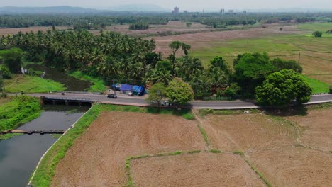 La-Vista-Aérea-De-Un-Campo-De-Arroz-Adyacente-A-Una-Carretera,-Con-Vehículos-Que-Atraviesan-La-Carretera-En-El-Campo-De-Thrissur,-Kerala,-India