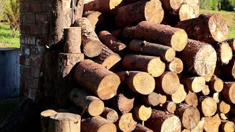 wood logs stacked against a "braai - fireplace" in nature - sustainability harvested in south africa, slow motion