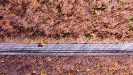 scenic aerial view of a red car passing on a straight asphalted road in the middle of the countryside