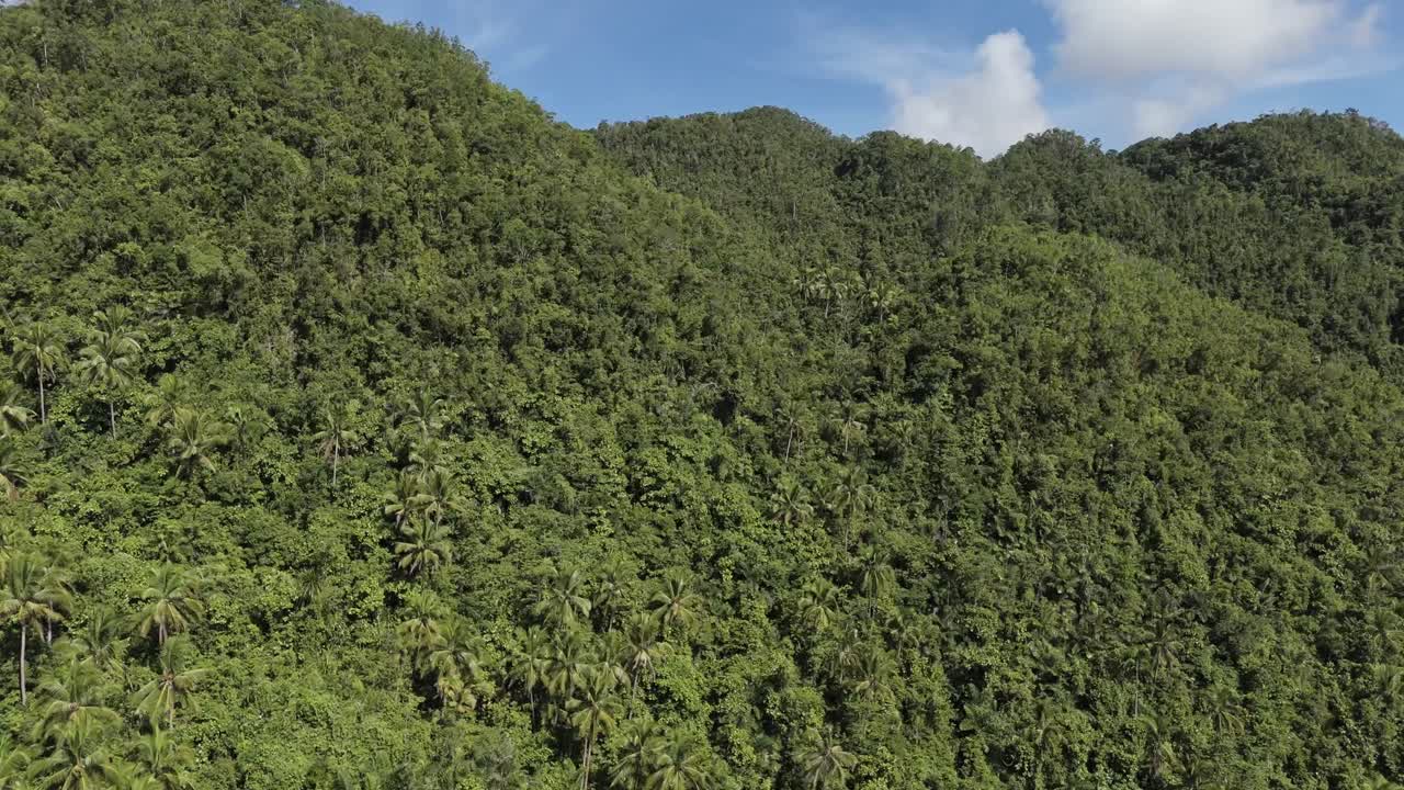 disparo aéreo volando a través de las montañas de la selva tropical - filipinas