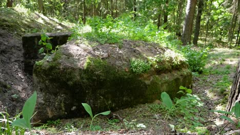 abandoned second world war concrete bunker hidden in beautiful green forest and grass on top. static shot