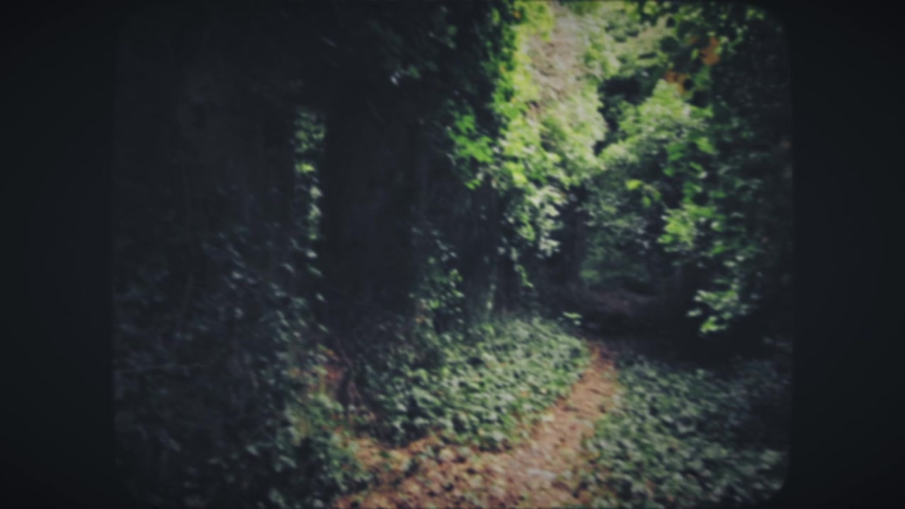 In mezzo alla foresta