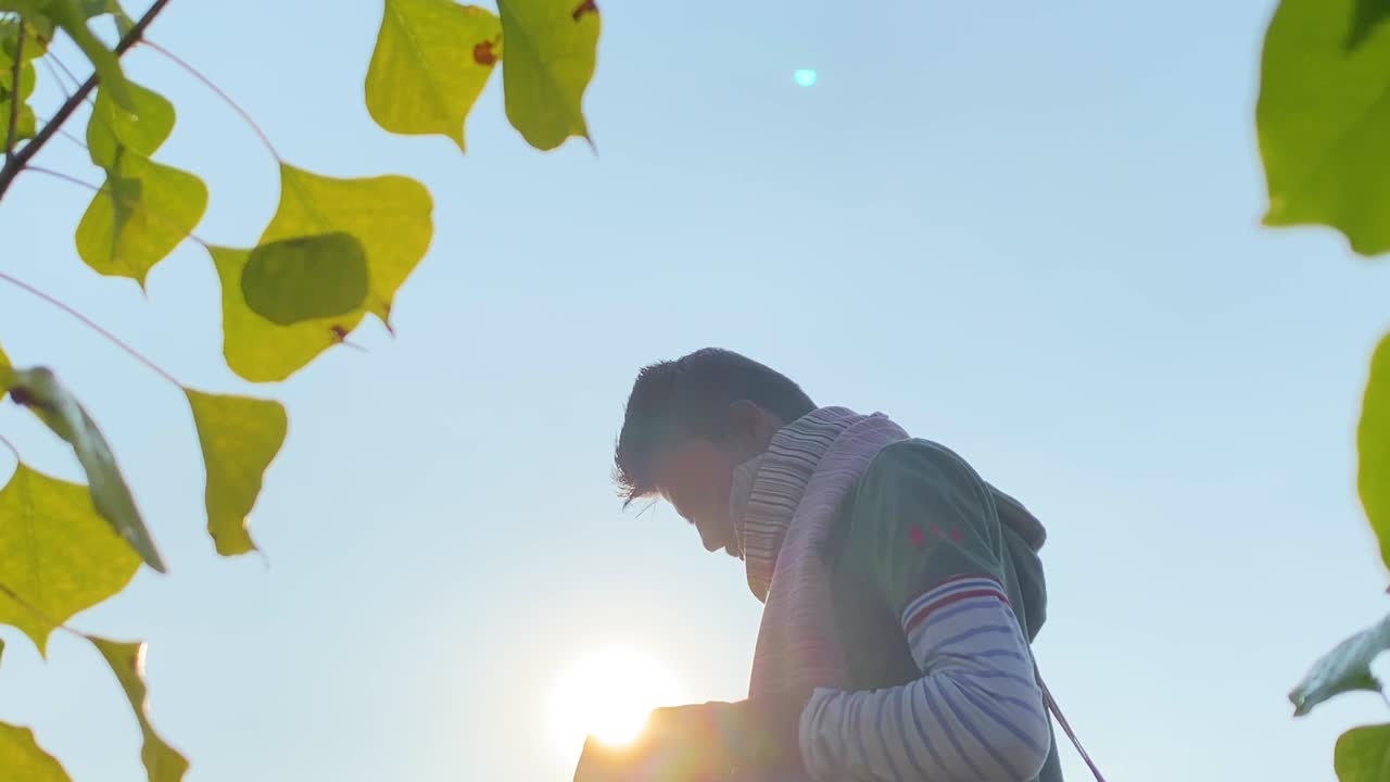 배경에  ⁇ 빛을 가진 잎을 통해 사진작가의  ⁇ 을