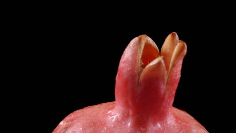 shooting of rotating wet pomegranate on black background