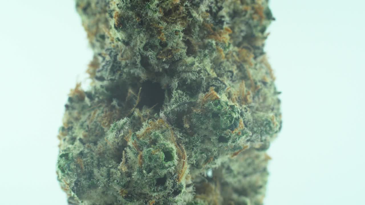 Macro Close up shot of a Marijuana sativa Super Lemon Amnesia Haze flower, yellow, green and purple Kush, on a 360 rotating stand, Slow motion 4K video