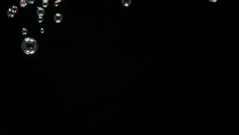 soup bubbles isolated on black background