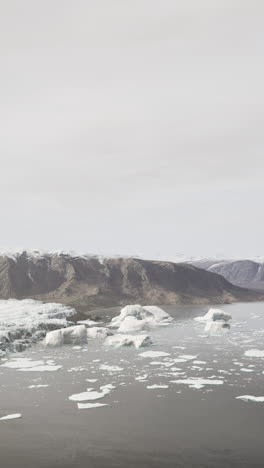 icebergs in greenland