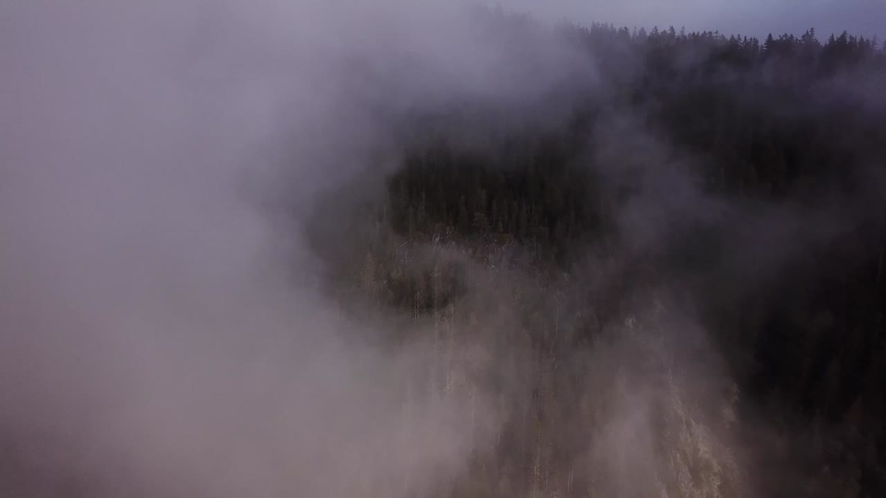 Flying over the canopy during a misty afternoon