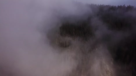 volando sobre el dosel durante una tarde de niebla