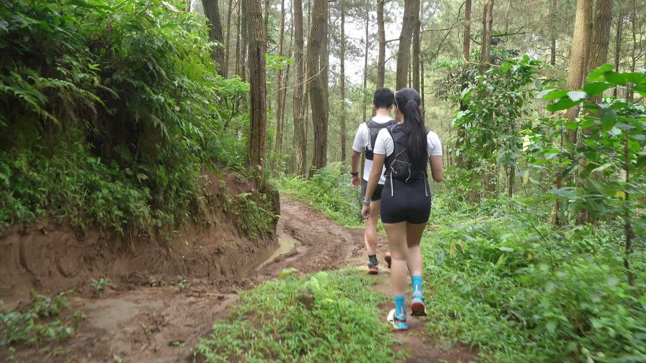 excursionistas en un sendero forestal