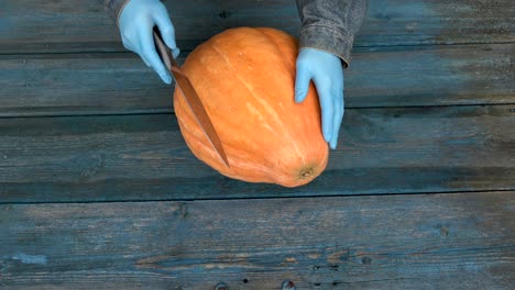 farmer  cutting big pumpkin with black knife