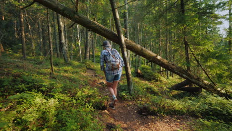 Woman-Tourist-With-A-Backpack-Goes-Along-The-Forest-Path