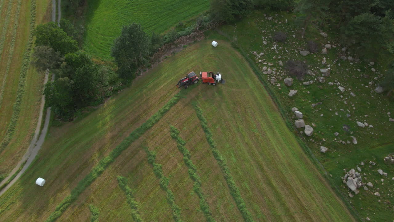 Tractor with baling machine making silage bales on farmland, Scandinavia
