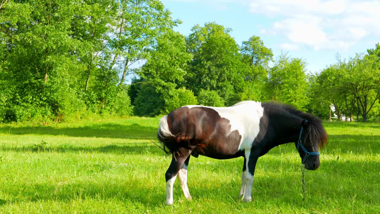 풀 에서 풀 을 는 말