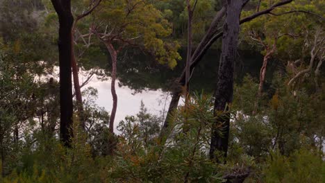 Reflejo-De-La-Vegetación-En-El-Agua-Transparente-Del-Lago-Azul-En-El-Parque-Nacional-Naree-Budjong-Djara,-Isla-De-Stradbroke-Del-Norte,-Qld-Australia