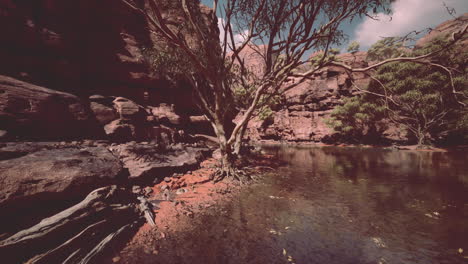 Spiegelung-Des-Grand-Canyon-Im-Colorado-River