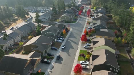 wide aerial view of a suburban american neighborhood during autumn