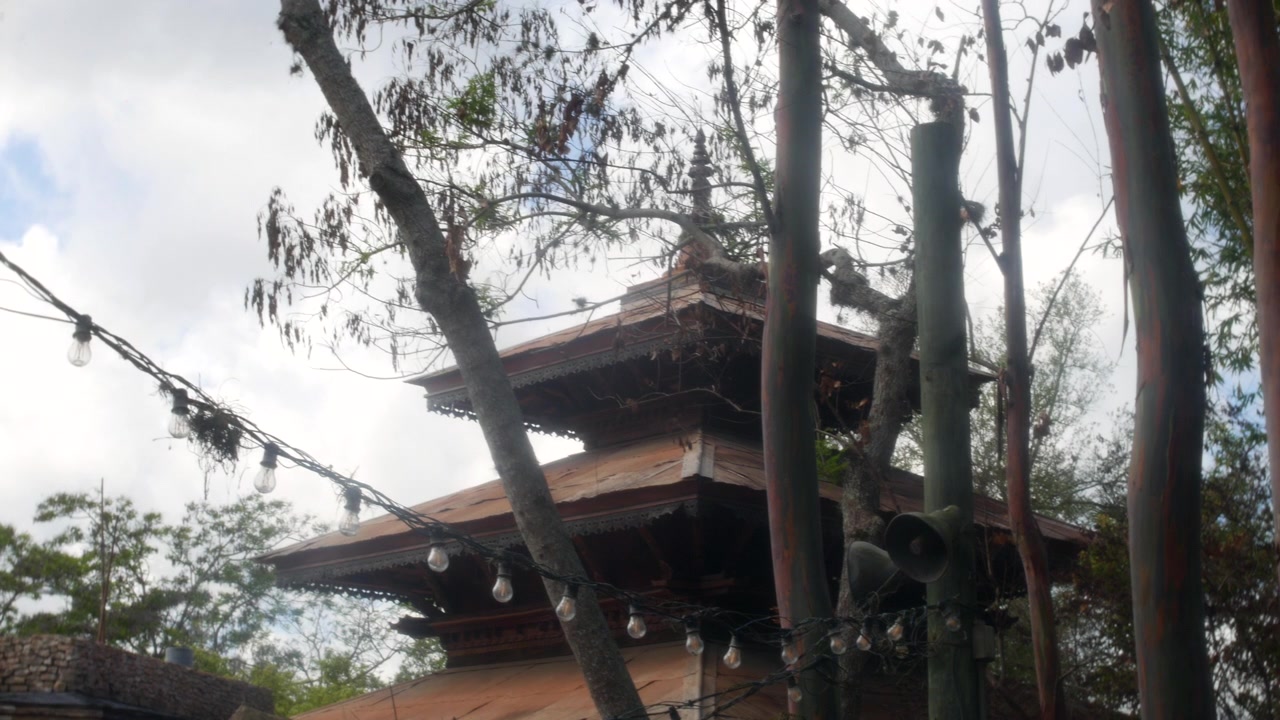 西藏的寺廟在樹木和竹林後方升起，天空多雲。低角度拍攝顯示木製寶塔屋頂、串燈、樹枝，以及一個寧靜的喜馬拉雅花園場景。