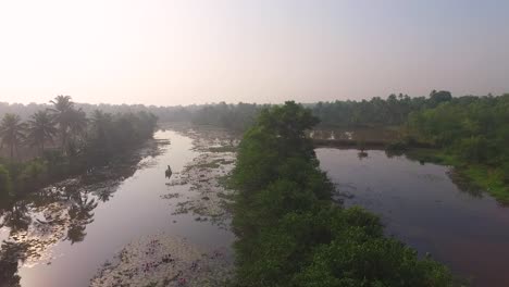 Asian-mangroves-local-farmer-collecting-grass-on-a-boat,-beautiful-aerial-shoot