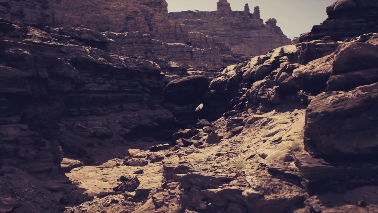 Indagine scientifica che esplora rocce stratificate e formazioni di canyon aspre.