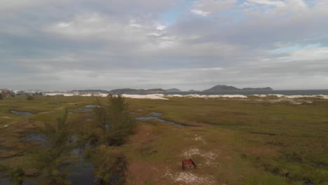 caballos en un campo con tiro aéreo de drones