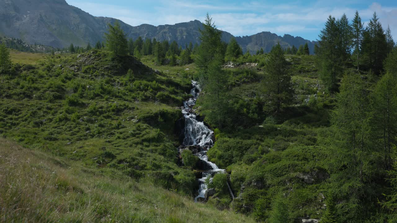 idílica vista inclinada del río que fluye en medio de prados cubiertos de hierba con árboles de coníferas y fondo montañoso