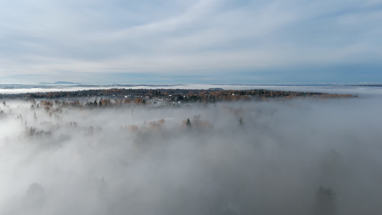 Langley, Canada - Una coltre di nebbia aleggia sugli alberi mentre la lontana linea della città emerge sotto il morbido cielo mattutino - Scatto aereo con drone